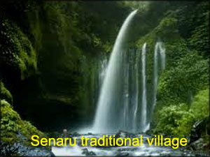 Senaru-traditional-village